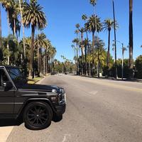 Отзыв от Тарас - DTV виза